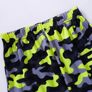 Boys Dinosaur Graphic Tee and Camouflage Shorts Set